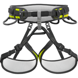ASCENT PRO